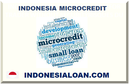 INDONESIA MICROCREDIT